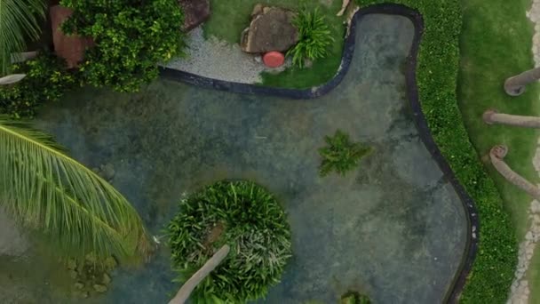 Zoom de tiro de dron de palmeras en la piscina en un jardín — Vídeos de Stock