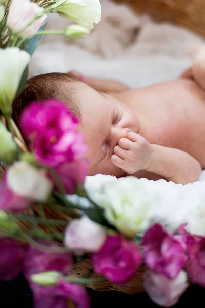 Nyfödda barn sover i korgen med blommor — Stockfoto