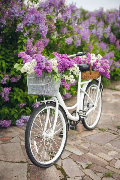 White retro bicycle with basket of flowers — Stock Photo, Image