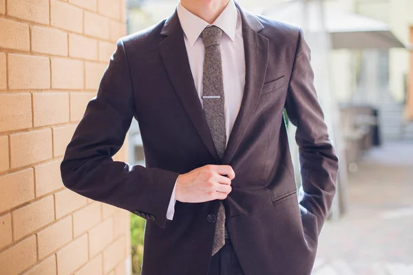 ビジネス スーツとネクタイのビジネスマン — ストック写真