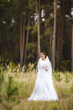 Kulaklar arasında beyaz bir elbise içinde güzel bir gelin
