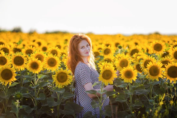 Pregnant girl in a field with sunflowers. — Stock Photo, Image