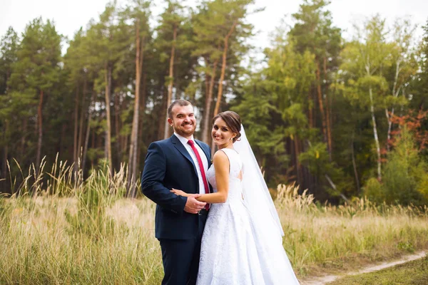 Sposa e sposo a piedi il giorno del matrimonio — Foto Stock