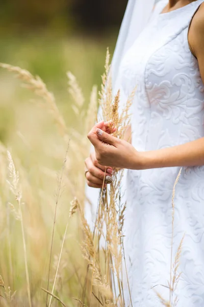 Een mooie bruid in een witte jurk tussen de oren — Stockfoto