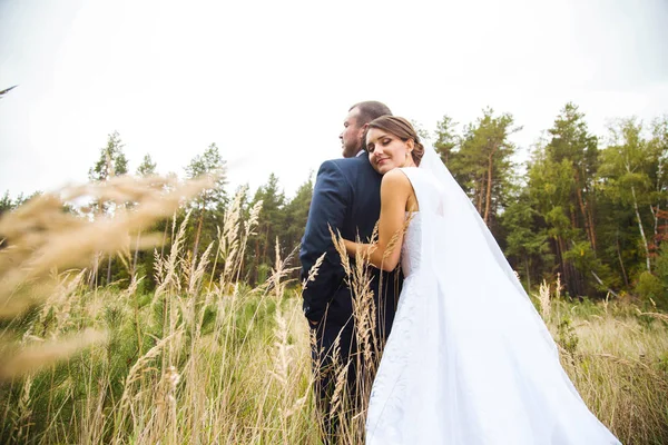 Sposa e sposo a piedi il giorno del matrimonio — Foto Stock