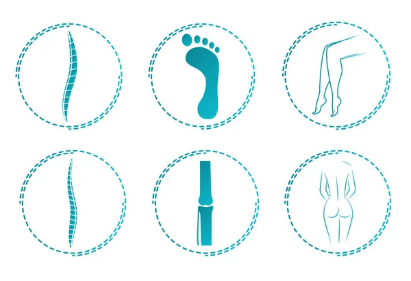 De pictogrammenset voor orthopedist. Orthopedische logo's. Illustratie van de wervelkolom en de gewrichten. het menselijk lichaam — Stockvector