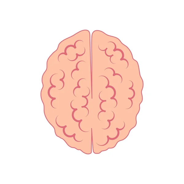 위에서 뇌 아이콘 보기입니다. 이 성과 논리의 상징 — 스톡 벡터