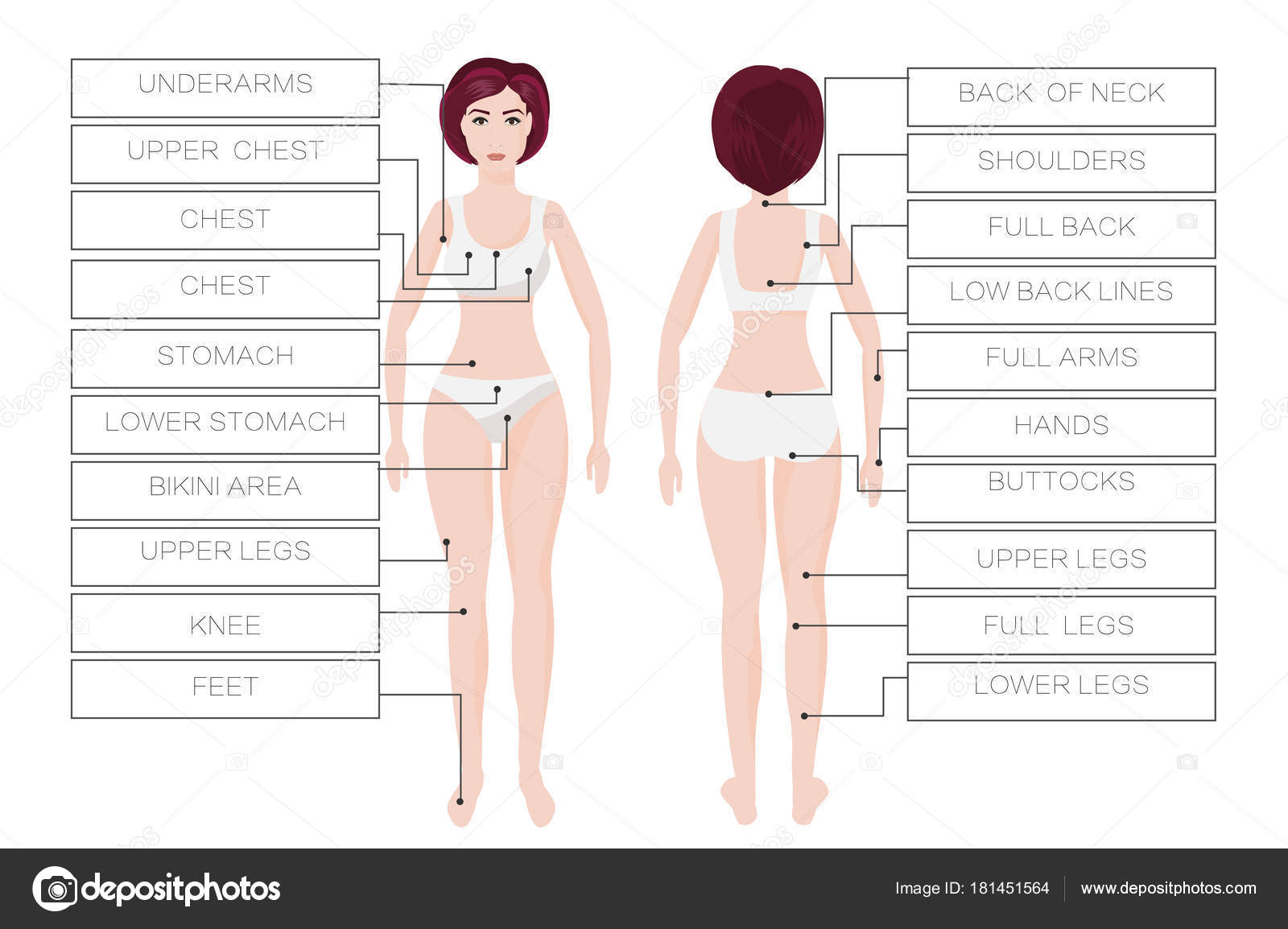 Laser Hair Removal Size Chart