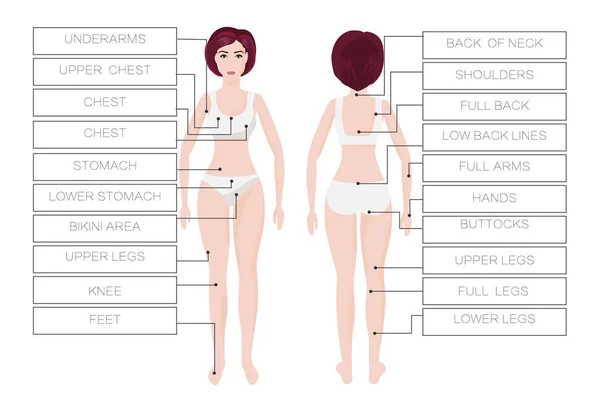 Λέιζερ μαλλιά αφαίρεση θηλυκό ζώνες. Περιοχή σώμα γυναίκας. IPL διαδικασία — Διανυσματικό Αρχείο