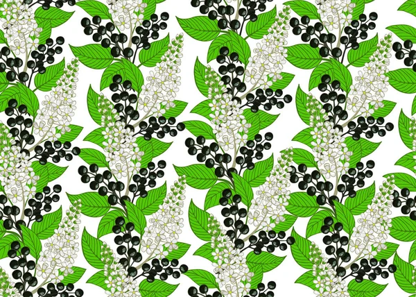 Naadloze vogelkers patroon. Berry en florale achtergrond — Stockvector