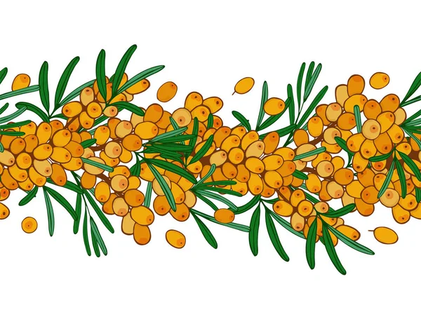 Seamless ornament branch of sea buckthorn with berries. — Stock Vector