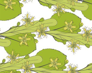 Seamless linden pattern. Ornament of a branch of a Tilia tree. Background of a basswood. Vector limetree or tree. clipart