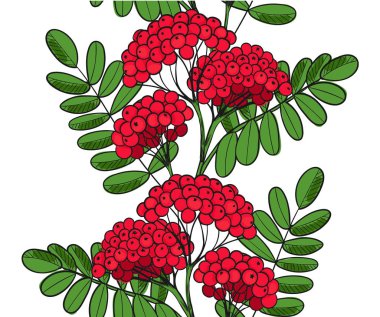 Seamless modeli Kırmızı Rowan ağacı. Sonsuz süsleme dal rowanberry veya ashberry. Arka plan yaprakları ve küme sorbus Berry. Üvez Brunch