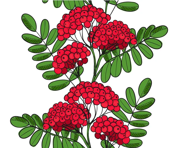 Vzor bezešvé Red Rowan Tree. Nekonečné ornament větvička jeřabinovo nebo Jeřabina. Pozadí, listy a clusteru sorbus Berry. Pozdní snídaně sorb — Stockový vektor