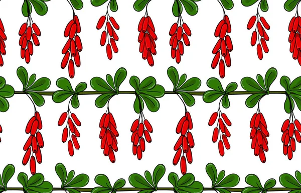 Naadloze patroon Berberisfamilie. Eindeloze sieraad-takje van berberis. Achtergrond brunch met bladeren en cluster van rode bessen. — Stockvector