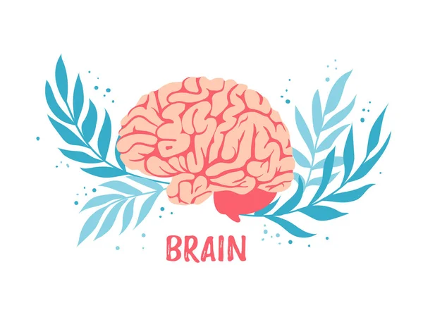Εγκέφαλος. Σύμβολο μυαλού και νοημοσύνης. Ανθρώπινο όργανο και ανατομία. Royalty Free Εικονογραφήσεις Αρχείου