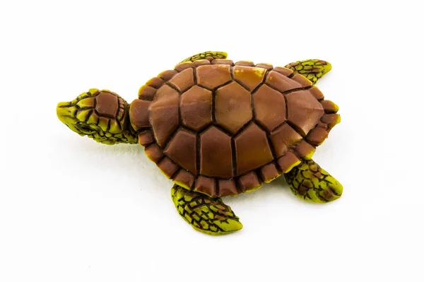 Rubber turtle toy isolated on white background — Stock Photo, Image