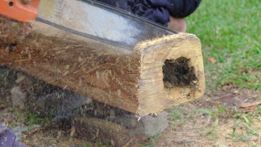 profesyonel testere bıçak kesim günlük ahşap