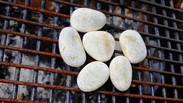 Paquete Piedras Parrilla Barbacoa — Foto de Stock