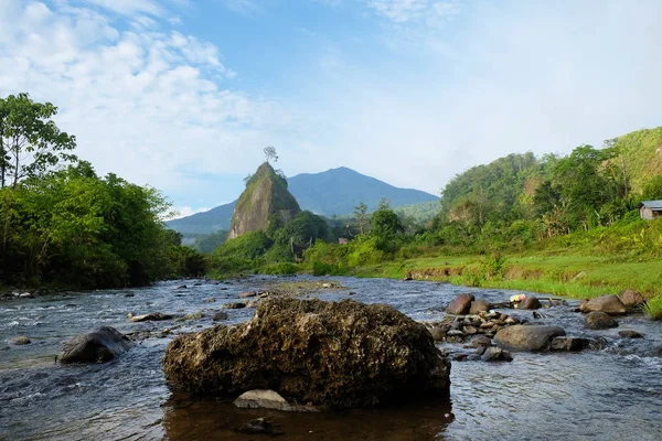 The flowing clean river at Ngarai Sianok, West Sumatra, Indonesia during morning.