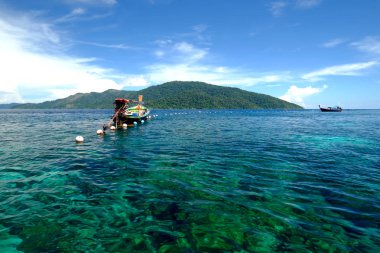 Geleneksel tekne tropikal ortasında yüzen görünümünü 