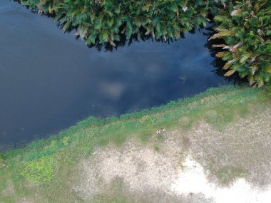 Tropikal bir ülkede kirli göl havadan görüntü.