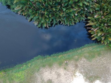 Tropikal bir ülkede kirli göl havadan görüntü.