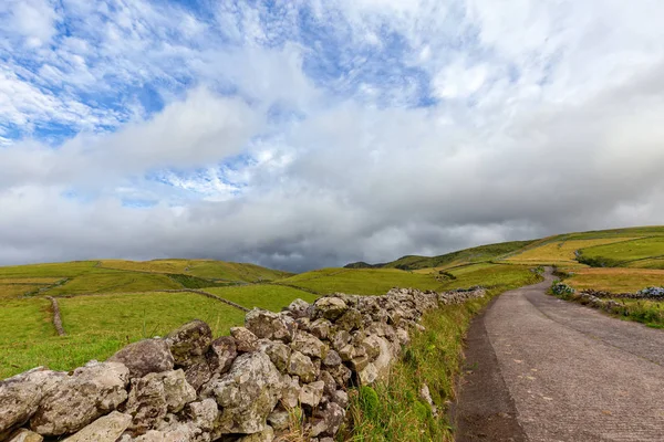 Muralla Rocosa Carretera Zona Norte Isla Flores Las Azores — Foto de Stock