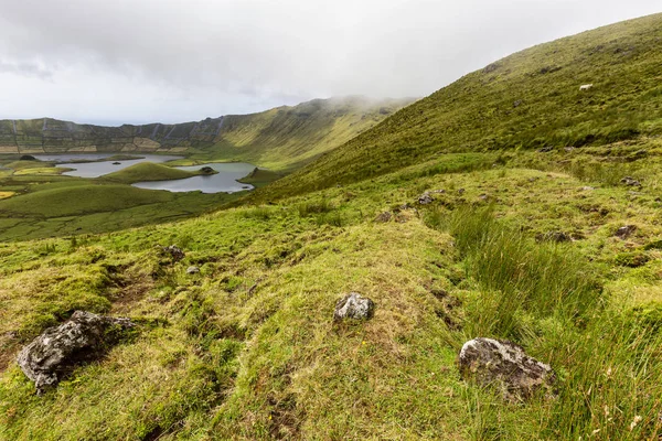 Oländig Led Som Leder Till Sjöarna Corvo Caldera Corvo Azorerna — Stockfoto