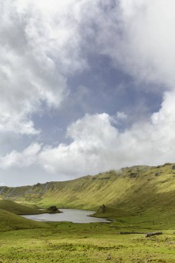 Portekiz, Azores 'deki Corvo adasındaki Corvo Krateri' nde küçük bir göl kenarında sığırlar otlar..