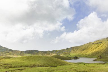 Portekiz, Azores 'deki Corvo adasındaki Corvo Krateri' nin inanılmaz havzasında sığırlar otluyor..