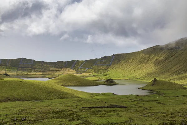 Viehweiden Und Seen Corvo Krater Auf Der Insel Corvo Den — Stockfoto