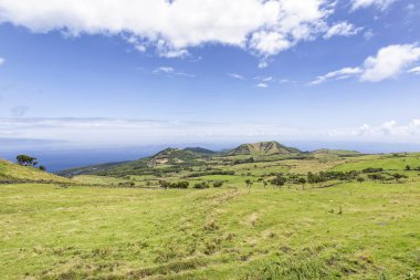 Doğu Pico 'daki Tarlalar