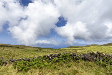 Otlaklar ve Sao Jorge