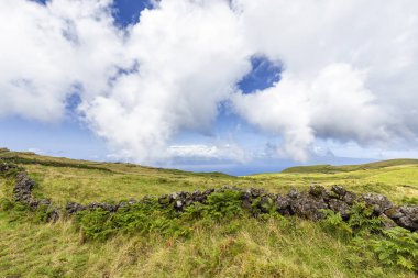 Benzersiz Asor Çayırı