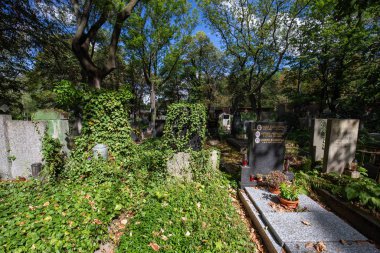 Prag, Çek Cumhuriyeti - 6 Eylül 2016 'da Çek Cumhuriyeti' nin Prag kentindeki Olsany mezarlığı içinde güzel bir yaz manzarası.