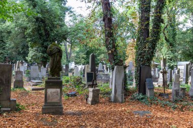 Prag, Çek Cumhuriyeti - 6 Eylül 2016 'da Çek Cumhuriyeti' nin Prag kentindeki Olsany mezarlığı içinde güzel bir yaz manzarası.