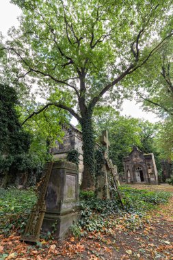 Prag, Çek Cumhuriyeti - 6 Eylül 2016 'da Çek Cumhuriyeti' nin Prag kentindeki Olsany mezarlığı içinde güzel bir yaz manzarası.