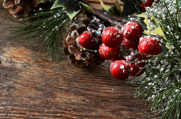 Holly Berries Close Up. — Stock Photo, Image