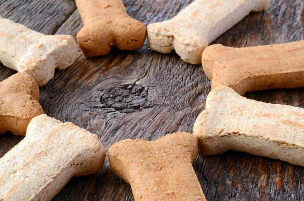 Hond behandelen achtergrond — Stockfoto