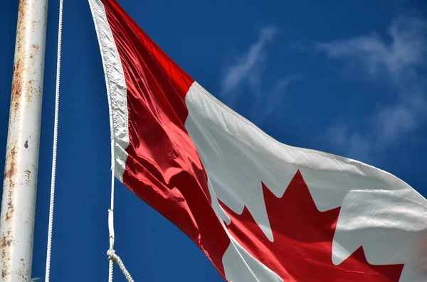 Kanadische Flagge schwenkend — Stockfoto