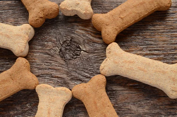 Hund behandla bakgrund — Stockfoto