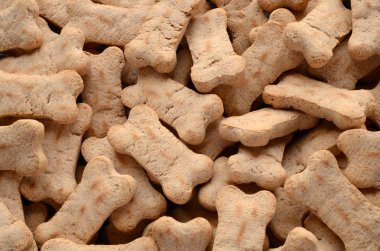 Köpek muamele etmek arka plan