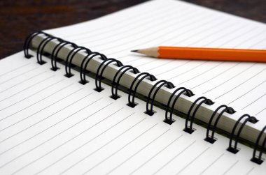 Açık cilt ve kalem