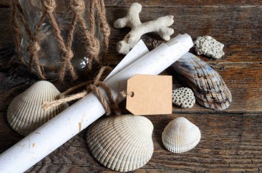 Deniz kabuklarını ve kağıt Not arka planı