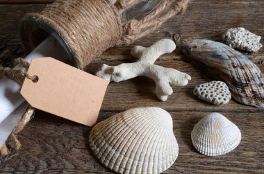 Deniz kabuklarını ve not kağıdı