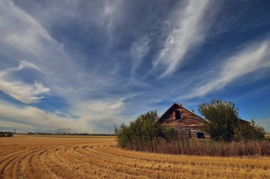 Eski Vintage Homestead