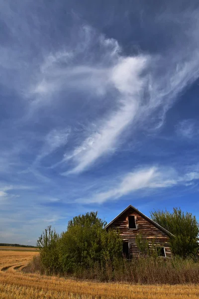Eski Vintage Homestead