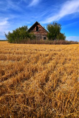 Eski unutulmuş Homestead