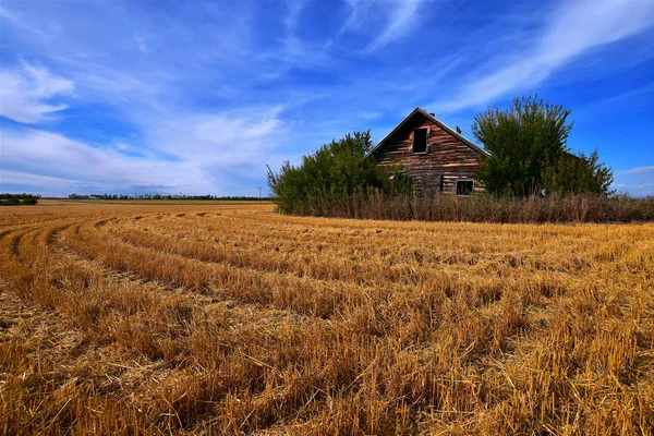 Παλιές ξεχασμένες Homestead — Φωτογραφία Αρχείου